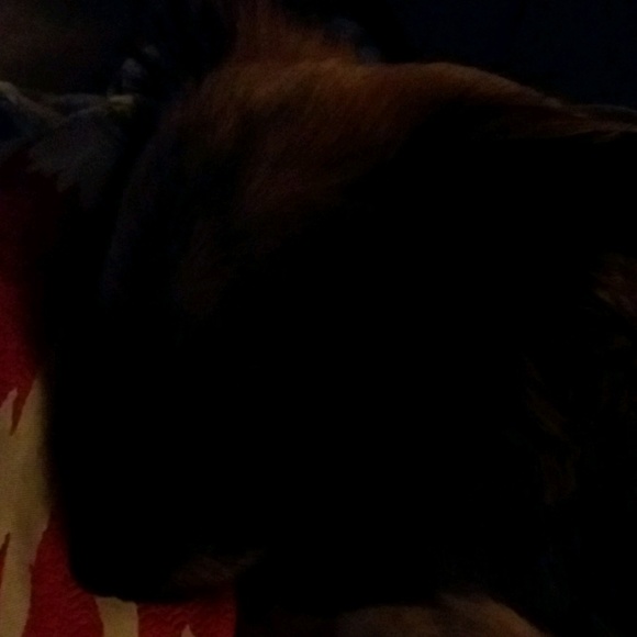 Meet your Posher, Lisa - Picture 1 of 1